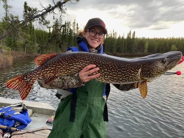 Northern Pike — Evening Catch
