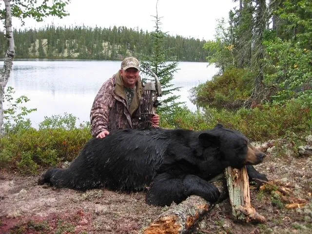 Black Bear — Bowhunt